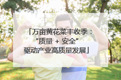 万亩黄花菜丰收季：“质量 + 安全” 驱动产业高质量发展