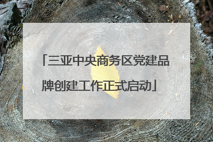 三亚中央商务区党建品牌创建工作正式启动