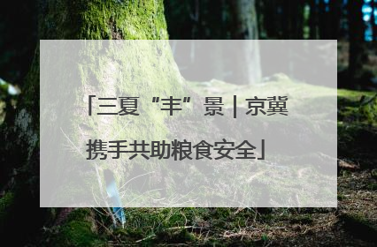 三夏“丰”景｜京冀携手共助粮食安全