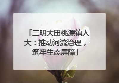 三明大田桃源镇人大：推动河流治理，筑牢生态屏障