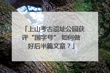 上山考古遗址公园获评“国字号” 如何做好后半篇文章？