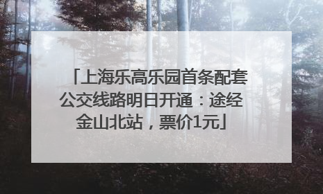 上海乐高乐园首条配套公交线路明日开通：途经金山北站，票价1元