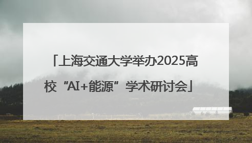 上海交通大学举办2025高校“AI+能源”学术研讨会
