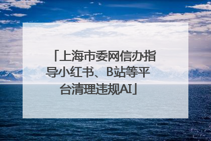 上海市委网信办指导小红书、B站等平台清理违规AI