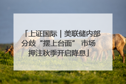 上证国际｜美联储内部分歧“摆上台面” 市场押注秋季开启降息