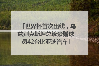 世界杯首次出线，乌兹别克斯坦总统豪赠球员42台比亚迪汽车