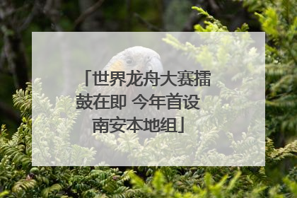 世界龙舟大赛擂鼓在即 今年首设南安本地组