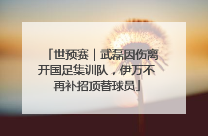世预赛｜武磊因伤离开国足集训队，伊万不再补招顶替球员
