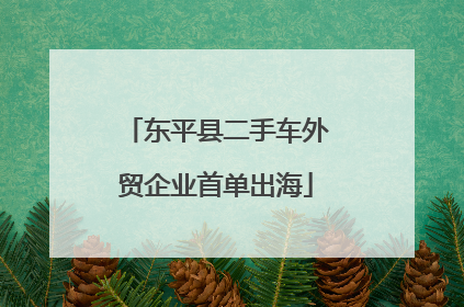 东平县二手车外贸企业首单出海