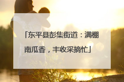 东平县彭集街道：满棚南瓜香，丰收采摘忙