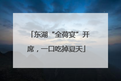 东湖“全荷宴”开席，一口吃掉夏天