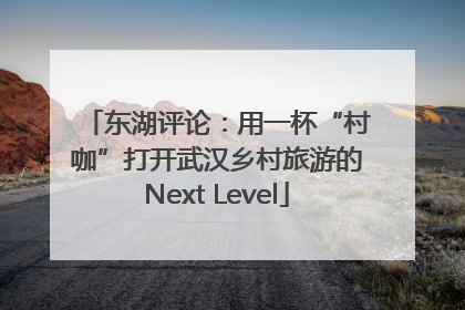 东湖评论：用一杯“村咖”打开武汉乡村旅游的Next Level