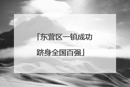 东营区一镇成功跻身全国百强