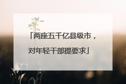 两座五千亿县级市，对年轻干部提要求
