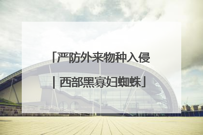 严防外来物种入侵｜西部黑寡妇蜘蛛