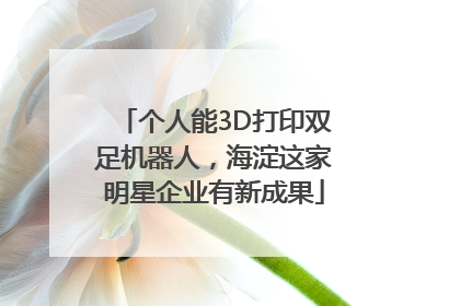 个人能3D打印双足机器人,海淀这家明星企业有新成果