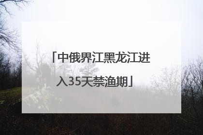 中俄界江黑龙江进入35天禁渔期
