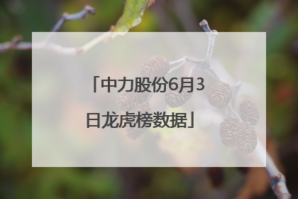中力股份6月3日龙虎榜数据