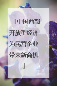 中国西部开放型经济为民营企业带来新商机