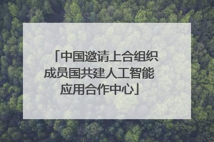中国邀请上合组织成员国共建人工智能应用合作中心