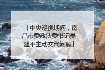 中央巡视期间，南昌市委政法委书记吴建平主动交代问题