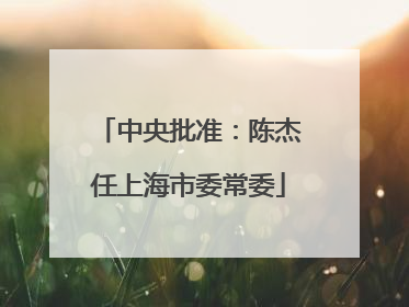 中央批准：陈杰任上海市委常委