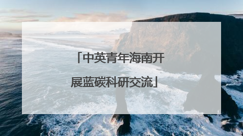 中英青年海南开展蓝碳科研交流