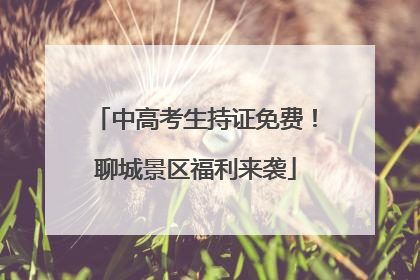 中高考生持证免费！聊城景区福利来袭