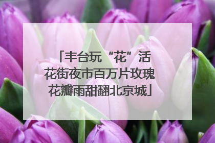 丰台玩“花”活 花街夜市百万片玫瑰花瓣雨甜翻北京城