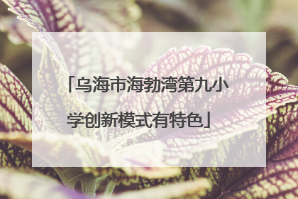 乌海市海勃湾第九小学创新模式有特色