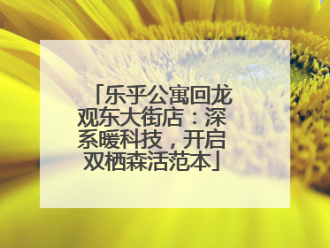 乐乎公寓回龙观东大街店：深系暖科技，开启双栖森活范本