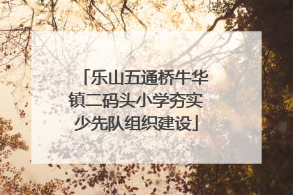 乐山五通桥牛华镇二码头小学夯实少先队组织建设