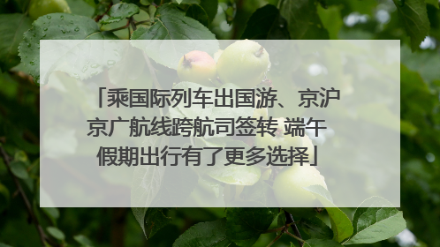 乘国际列车出国游、京沪京广航线跨航司签转 端午假期出行有了更多选择