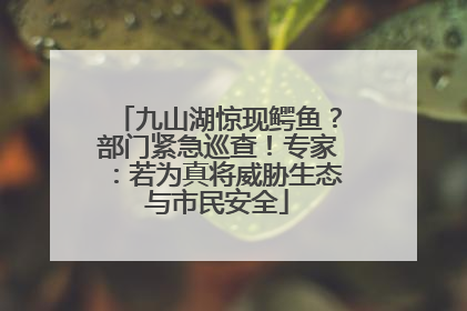 九山湖惊现鳄鱼？部门紧急巡查！专家：若为真将威胁生态与市民安全