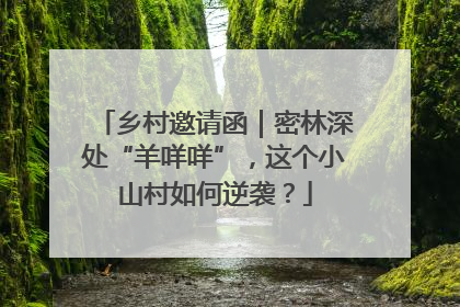 乡村邀请函｜密林深处“羊咩咩”，这个小山村如何逆袭？