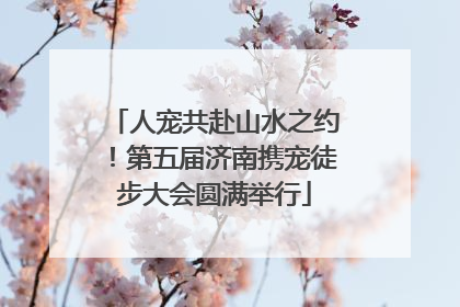 人宠共赴山水之约！第五届济南携宠徒步大会圆满举行