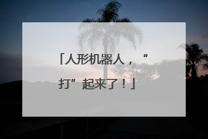 人形机器人，“打”起来了！