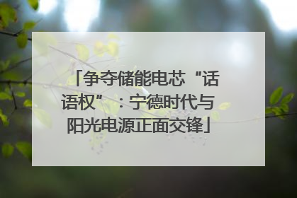 争夺储能电芯“话语权”：宁德时代与阳光电源正面交锋