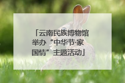 云南民族博物馆举办“中华节·家国情”主题活动