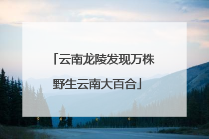 云南龙陵发现万株野生云南大百合