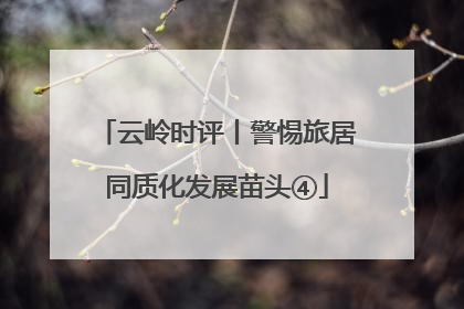 云岭时评丨警惕旅居同质化发展苗头④