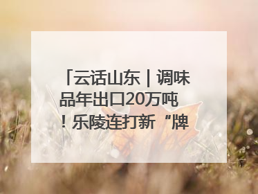 云话山东｜调味品年出口20万吨！乐陵连打新“牌”助力企业出海