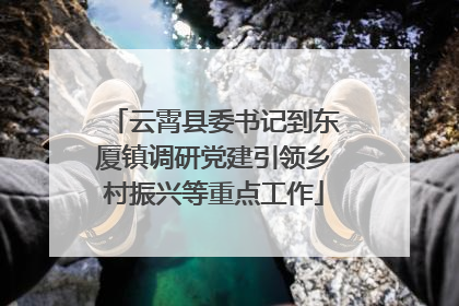 云霄县委书记到东厦镇调研党建引领乡村振兴等重点工作