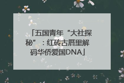 五国青年“大社探秘”：红砖古厝里解码华侨爱国DNA