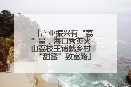产业振兴有“荔”量，海口秀英火山荔枝王铺就乡村“甜蜜”致富路