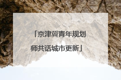 京津冀青年规划师共话城市更新