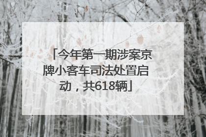 今年第一期涉案京牌小客车司法处置启动，共618辆