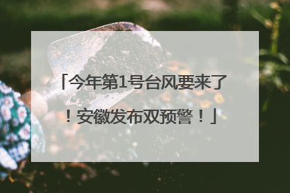 今年第1号台风要来了！安徽发布双预警！