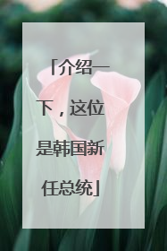 介绍一下，这位是韩国新任总统