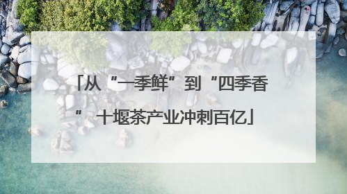 从“一季鲜”到“四季香” 十堰茶产业冲刺百亿